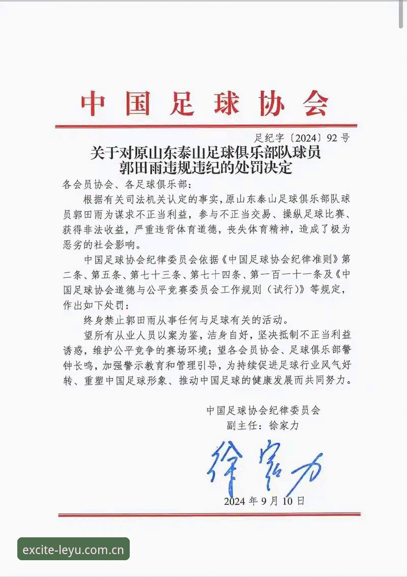 资深用户分享中国足协第三批禁足名单的深度解读与观赛心得